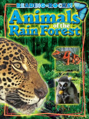 cover image of Animals of the Rain Forest